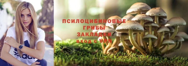 первитин Заводоуковск